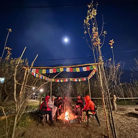 Basecamp Manali Hostel Ngoại thất bức ảnh