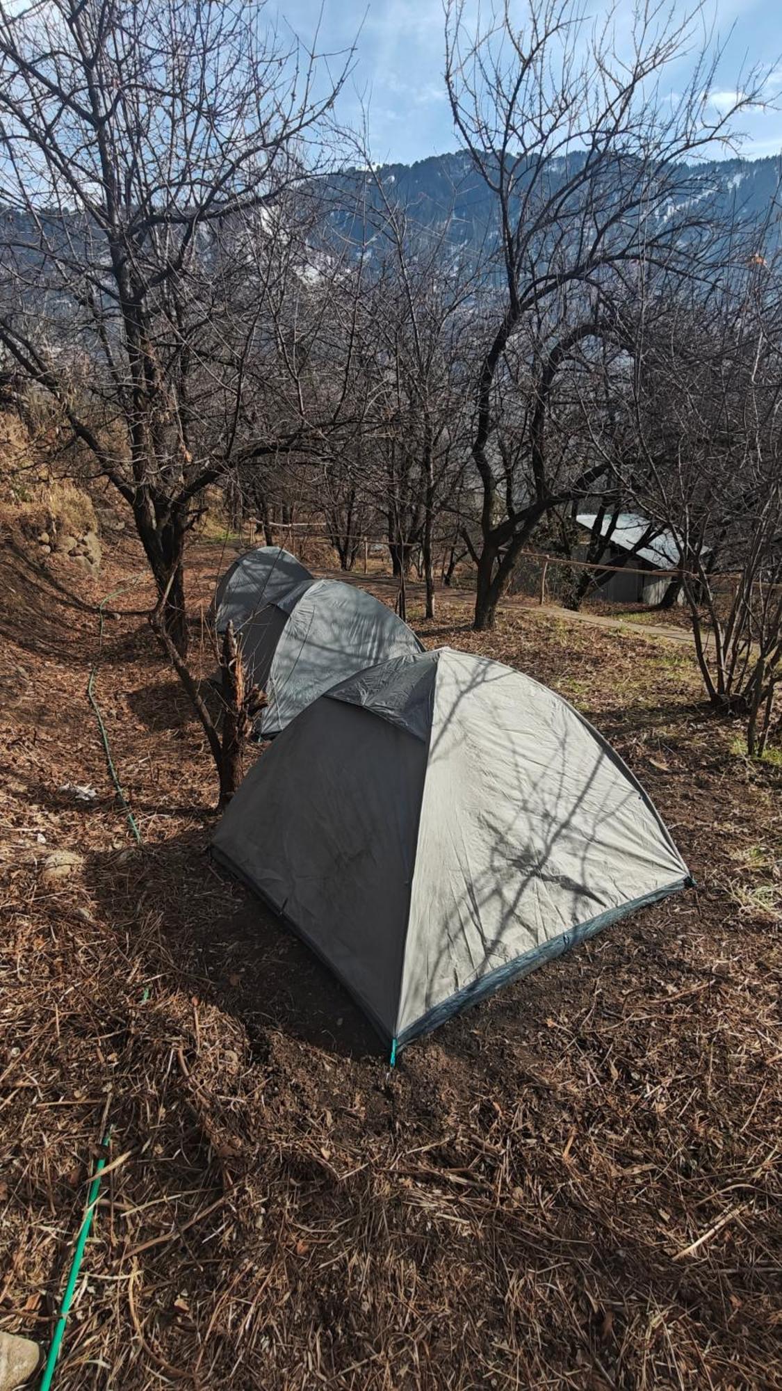 Basecamp Manali Hostel Phòng bức ảnh