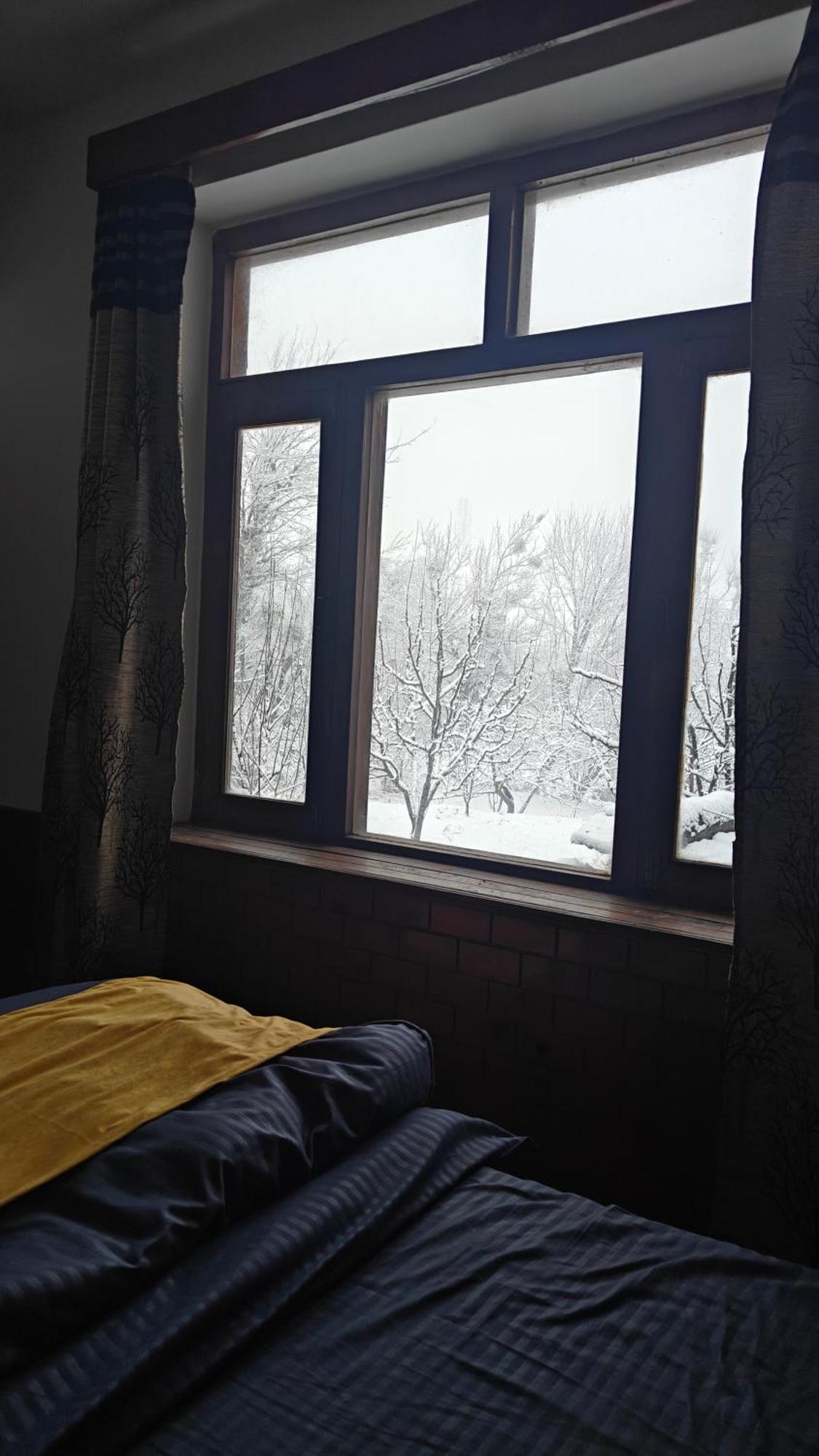 Basecamp Manali Hostel Phòng bức ảnh